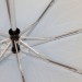 ТРИ СЛОНА зонт женский 3 сложения, 8 спиц, суперавтомат, набивной "ЭПОНЖ", купол 102 см., L3833D-02