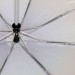 ТРИ СЛОНА зонт женский 3 сложения, 8 спиц, суперавтомат, набивной "ЭПОНЖ", купол 102 см., L3833D-03