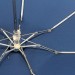 UNIVERSAL мини зонт женский 5 сложений, механика, облегченный, полиэстер, купол 91 см., K16-03