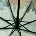 PLANET зонт женский кошки, 3 сложения, суперавтомат, сатин, купол 97 см. PL177-02