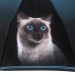 ТРИ СЛОНА зонт женский кошки 10 спиц, 3 сложения, суперавтомат, набивной "ФОТОСАТИН", купол 103 см. L3102G-03